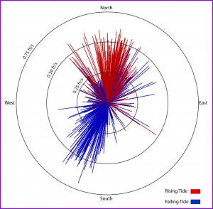 CORMIX Tidal Flow Rose Diagram